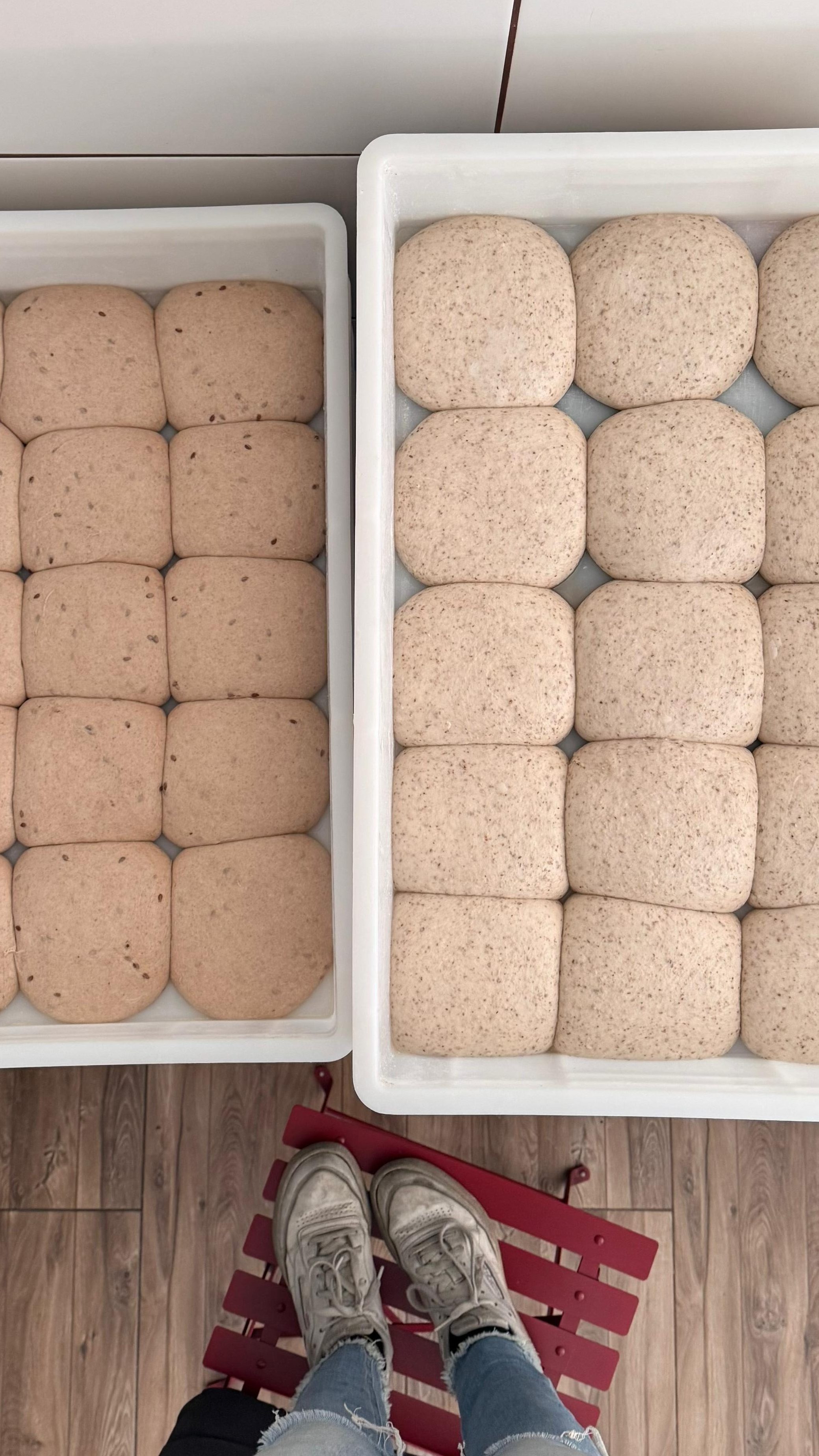 Pizzeria-Lievito-48-Dinkel-Vollkornteig